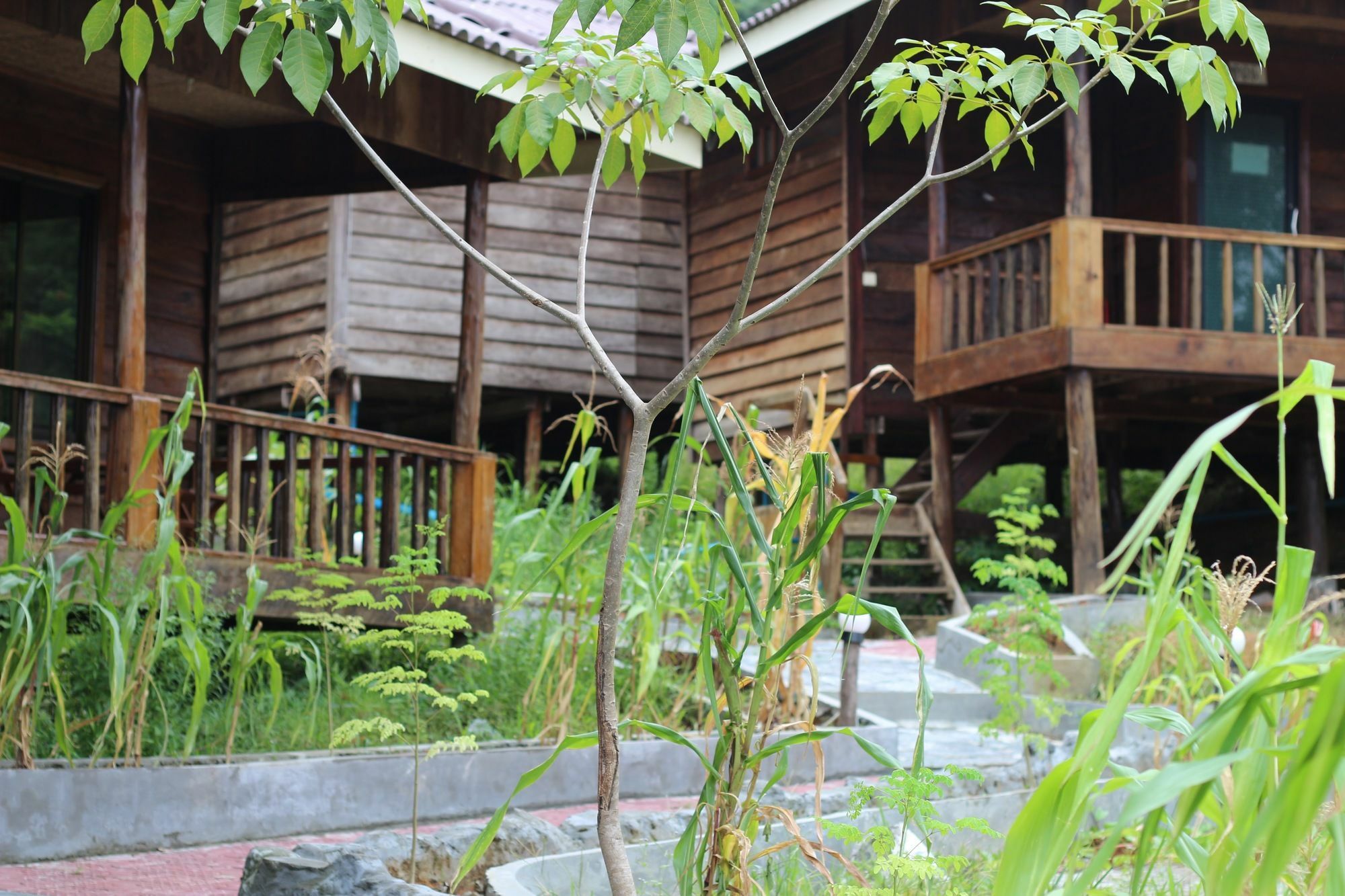 Golden Bungalows Kaoh Touch 외부 사진